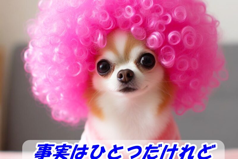 事実はひとつ